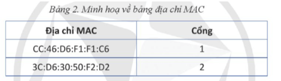 Lý thuyết Tin 12 Bài 2: Thiết bị mạng | Cánh diều