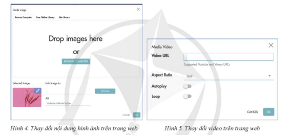 Lý thuyết Tin 12 Bài 5: Tạo nội dung hình ảnh cho trang web | Cánh diều