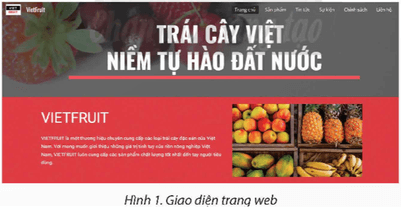 Em đã sử dụng phần mềm thiết kế những trang web như blog cá nhân