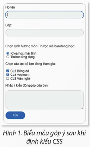 Định kiểu CSS cho biểu mẫu góp ý trang 139 Tin học 12