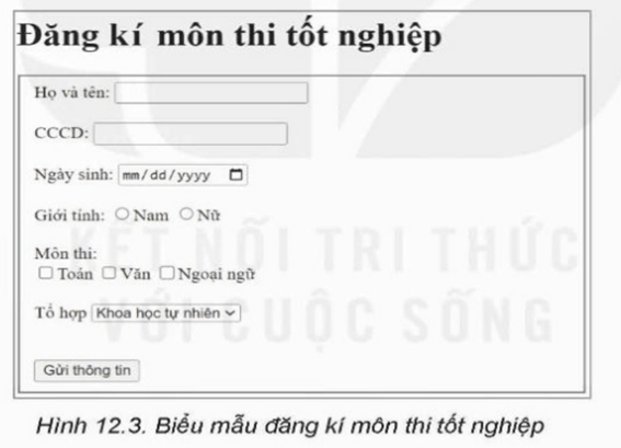 Lý thuyết Tin 12 Bài 12: Tạo biểu mẫu | Kết nối tri thức