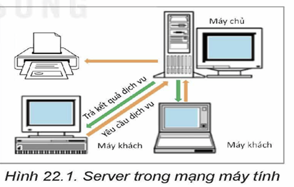 Lý thuyết Tin 12 Bài 22: Tìm hiểu thiết bị mạng | Kết nối tri thức