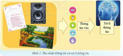 Lý thuyết Tin học 6 Bài 1: Thông tin - thu nhận và xử lí thông tin | Cánh diều