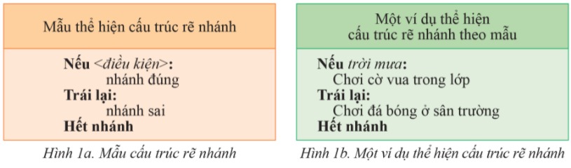 Lý thuyết Tin học 6 Bài 3: Cấu trúc rẽ nhánh trong thuật toán | Cánh diều