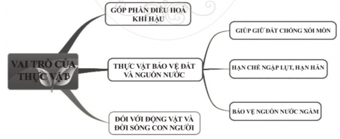 Trắc nghiệm Tin học 6 Bài 6 (có đáp án): Sơ đồ tư duy | Cánh diều