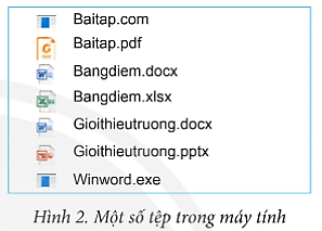 Hãy phân loại tệp ở Hình 2. Dựa vào đâu em nhận biết được loại tệp