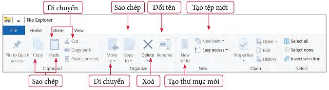 Lý thuyết Tin học 7 Chân trời sáng tạo Bài 3: Thực hành thao tác với tệp và thư mục