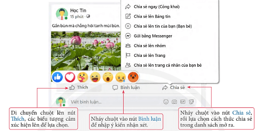 Lý thuyết Tin học 7 Chân trời sáng tạo Bài 5: Mạng xã hội