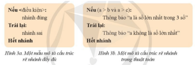 Ở lớp 6 em đã biết một mẫu mô tả cấu trúc rẽ nhánh đầy đủ như ở Hình 3a