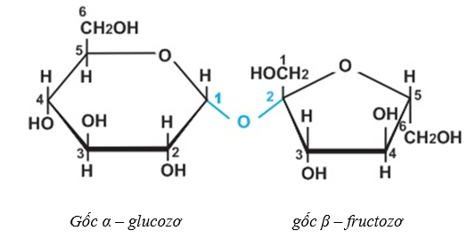 Tính chất của Saccarozo: Tính chất hóa học, vật lí, điều chế, ứng dụng
