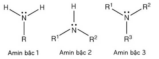 Tính chất của các Amin quan trọng: tính chất hóa học, tính chất vật lí, điều chế, ứng dụng