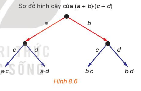 HĐ1 trang 72 Toán 10 Tập 2 | Kết nối tri thức Giải Toán lớp 10