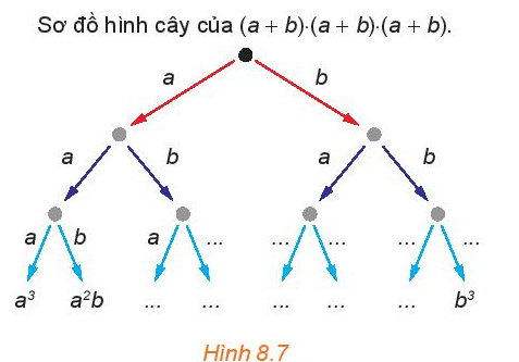 Hãy cho biết các đơn thức còn thiếu (...) trong sơ đồ hình cây (H.8.7) của tích (a + b) . (a + b) . (a + b)