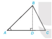 Cho tam giác ABC với đường cao BD Biểu thị BD theo AB và sin A