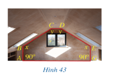 Bài 5 trang 94 Toán 11 Tập 2 | Cánh diều Giải Toán 11