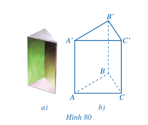 Hoạt động 1 trang 107 Toán 11 Tập 2 | Cánh diều Giải Toán 11