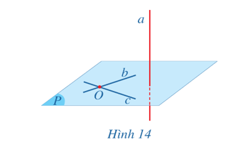 Hoạt động 3 trang 81 Toán 11 Tập 2 | Cánh diều Giải Toán 11