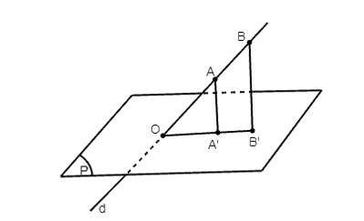 Luyện tập 4 trang 84 Toán 11 Tập 2 | Cánh diều Giải Toán 11