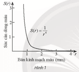 Bài 14 trang 52 Toán 11 Tập 2 Chân trời sáng tạo