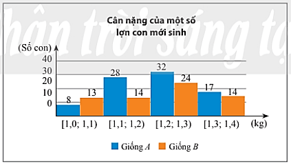 Bài 4 trang 141 Toán 11 Tập 1 Chân trời sáng tạo