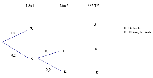 Bài 5 trang 93 Toán 11 Tập 2 Chân trời sáng tạo