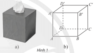 Hoạt động khám phá 1 trang 113 Toán 11 Tập 1 Chân trời sáng tạo