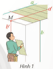 Hoạt động khám phá 1 trang 54 Toán 11 Tập 2 Chân trời sáng tạo