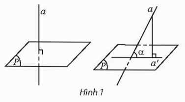 Hoạt động khám phá 1 trang 82 Toán 11 Tập 2 Chân trời sáng tạo