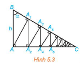 Bài 5.6 trang 109 Toán 11 Tập 1 | Kết nối tri thức Giải Toán 11