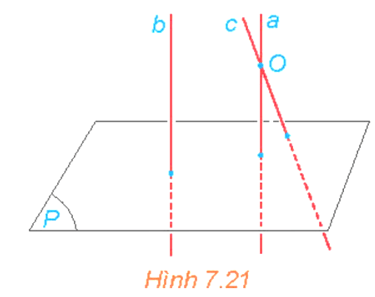 HĐ6 trang 34 Toán 11 Tập 2 | Kết nối tri thức Giải Toán 11