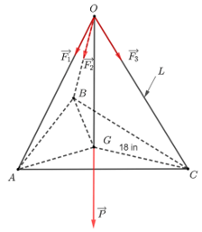 Bài 8 trang 81 Toán 12 Cánh diều Tập 1