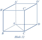 Hoạt động 7 trang 61 Toán 12 Cánh diều Tập 1