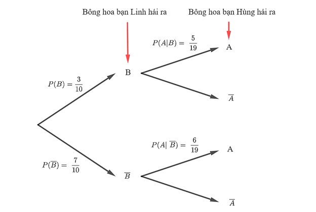 Lý thuyết Toán lớp 12 Công thức xác suất toàn phần. Công thức Bayes | Cánh diều