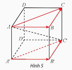 Hoạt động khám phá 2 trang 43 Toán 12 Tập 1 Chân trời sáng tạo