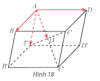 Hoạt động khám phá 5 trang 46 Toán 12 Tập 1 Chân trời sáng tạo