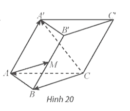 Thực hành 6 trang 47 Toán 12 Tập 1 Chân trời sáng tạo