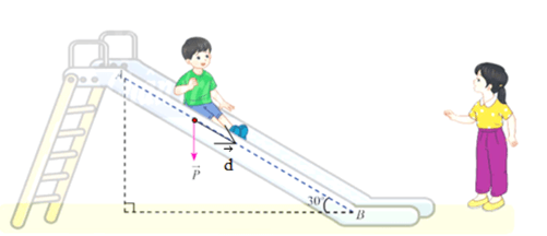 Vận dụng 4 trang 50 Toán 12 Tập 1 Chân trời sáng tạo