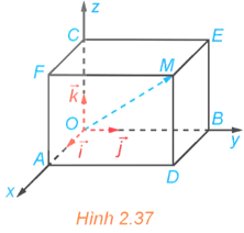 HĐ2 trang 61 Toán 12 Kết nối tri thức Tập 1