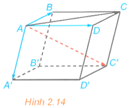 HĐ4 trang 50 Toán 12 Kết nối tri thức Tập 1