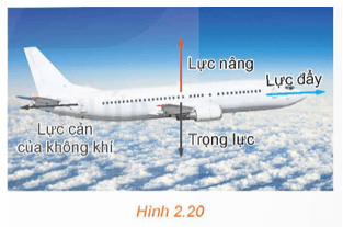 Vận dụng 3 trang 54 Toán 12 Kết nối tri thức Tập 1