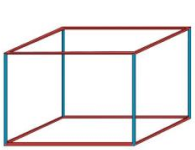 Toán lớp 3 trang 63, 64 Bài 21: Khối lập phương, khối hộp hình chữ nhật | Kết nối tri thức