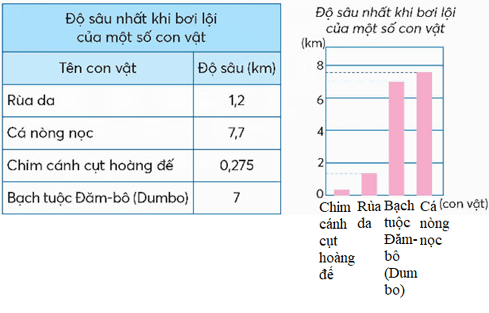 Toán lớp 5 Bài 23: Em làm được những gì? (trang 60) - Chân trời sáng tạo