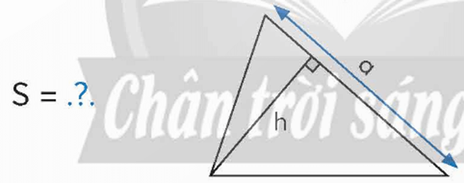 Toán lớp 5 Bài 54: Ôn tập hình học và đo lường (trang 113) - Chân trời sáng tạo