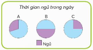 Toán lớp 5 Chân trời sáng tạo Bài 62: Biểu đồ hình quạt tròn (trang 17 Tập 2) | Giải Toán lớp 5