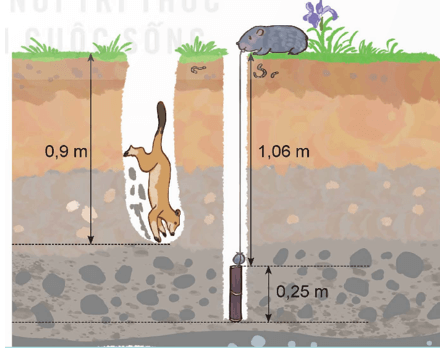 Toán lớp 5 Bài 24: Luyện tập chung (trang 88) - Kết nối tri thức