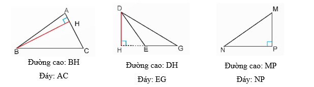 Toán lớp 5 Kết nối tri thức Bài 25: Hình tam giác. Diện tích hình tam giác (trang 91)