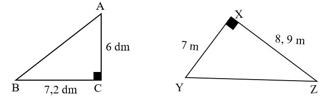 Diện tích hình tam giác (Lý thuyết + 15 Bài tập Toán lớp 5)