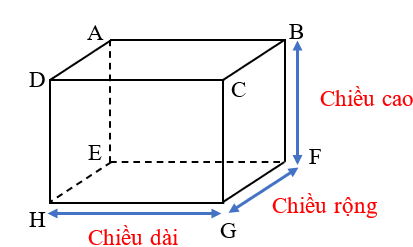 Hình hộp chữ nhật, hình lập phương (Lý thuyết + 15 Bài tập Toán lớp 5)