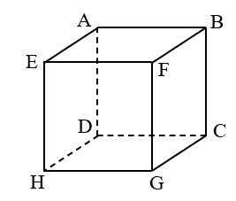 Hình hộp chữ nhật, hình lập phương (Lý thuyết + 15 Bài tập Toán lớp 5)