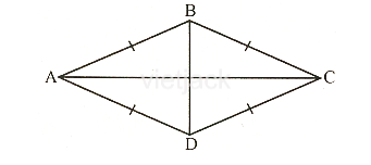 Cho các hình sau đây: (1) Đoạn thẳng AB. (2) Tam giác đều ABC.